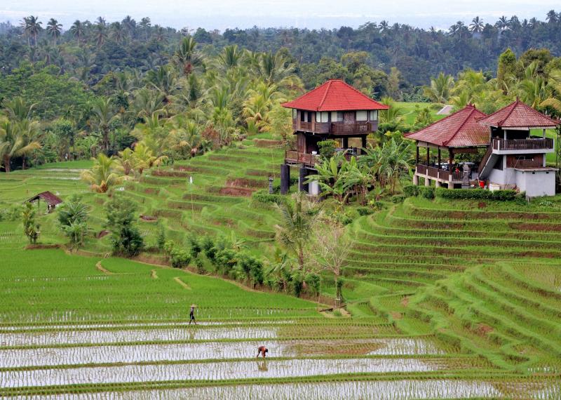 Bali Golftourexperience.com