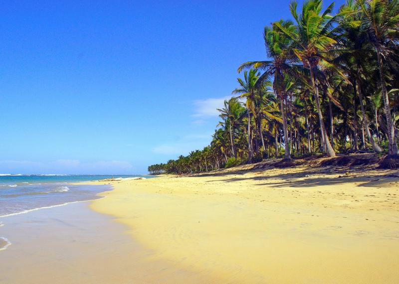 Repubblica Dominicana Golftourexperience.com
