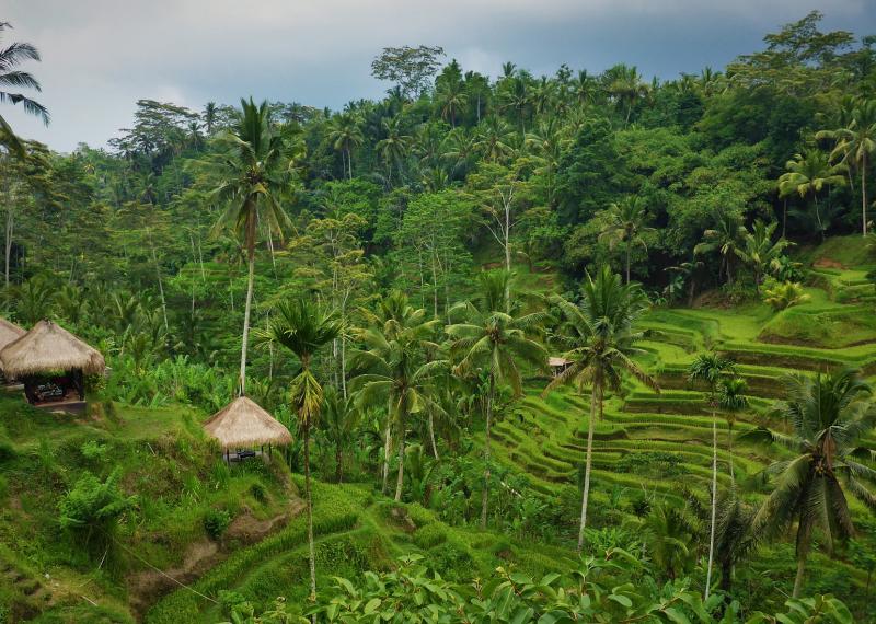 Bali Golftourexperience.com