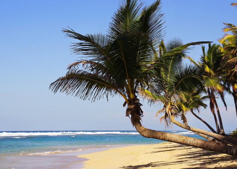 Repubblica Dominicana Golftourexperience.com