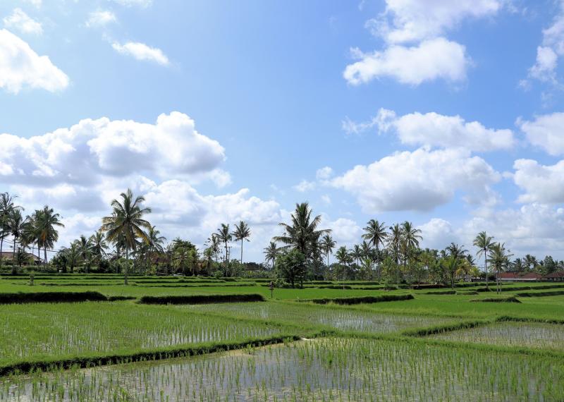 Bali Golftourexperience.com