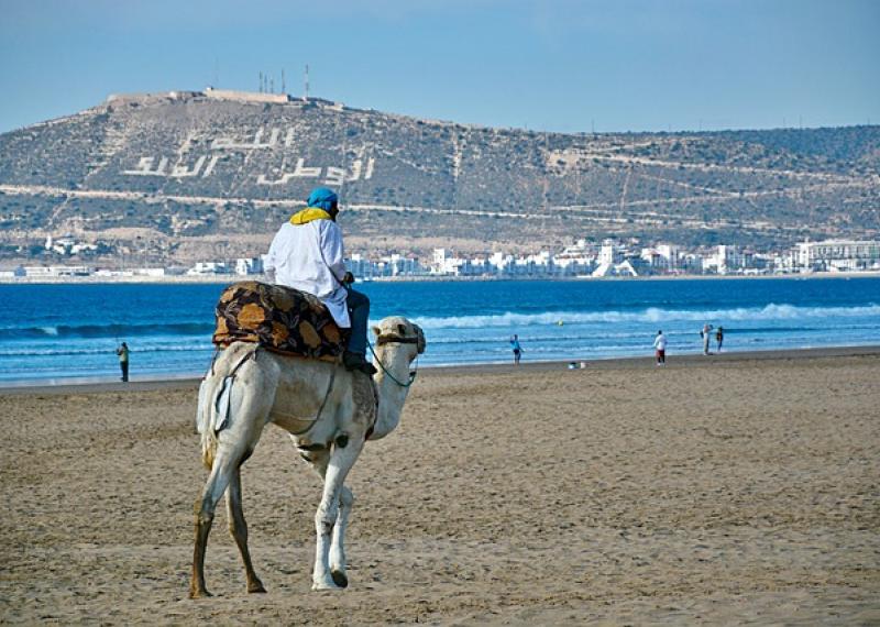 Agadir beach with camel