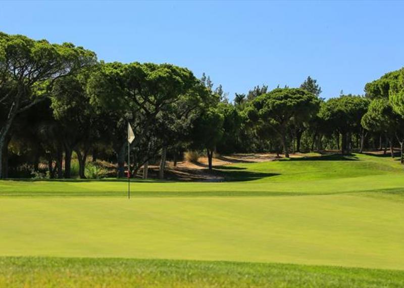 Green at the Millennium Golf Course