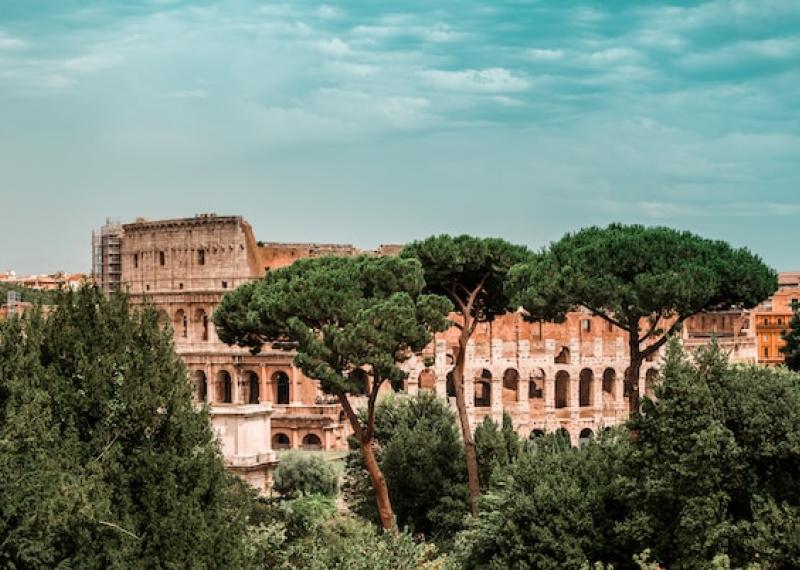 Colosseum seen among the trees