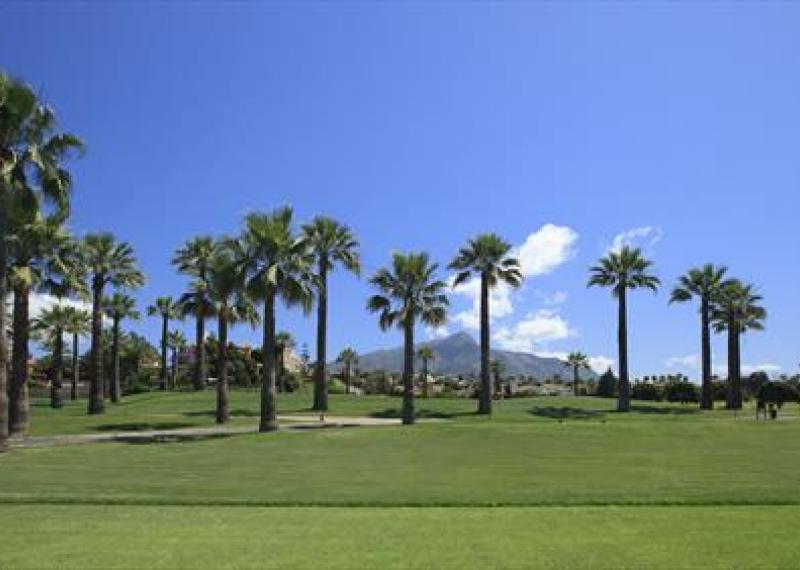 Los Naranjos Golf Course Fairway