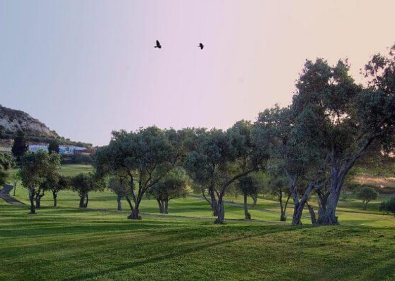 Minthis Hills Golf Club campo al tramonto