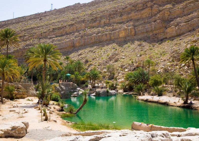 Oasi vicino a Wahiba Sands con palme e acqua verde