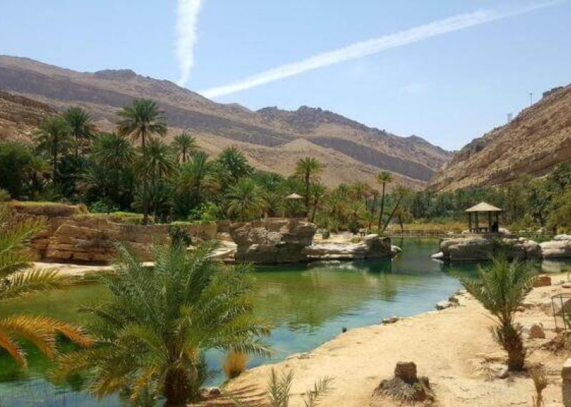 Oasis with gazebo, palm trees and green water at Wahiba Sands