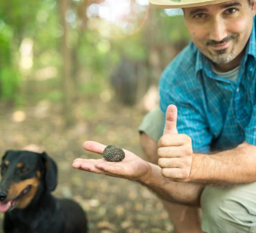 Ricerca del tartufo con cani 