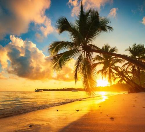 Dominican republic beach sunset