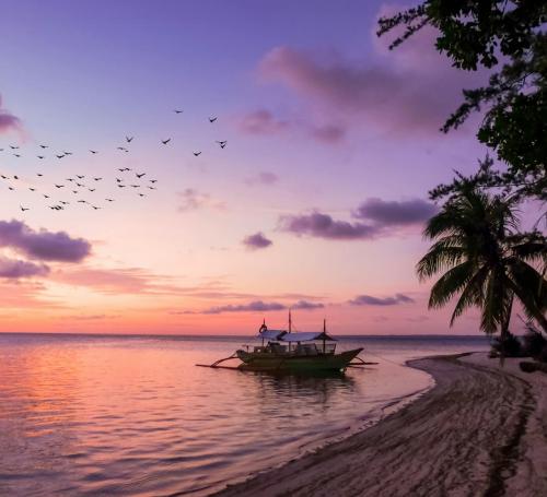 Costa al tramonto con cielo viola e palme